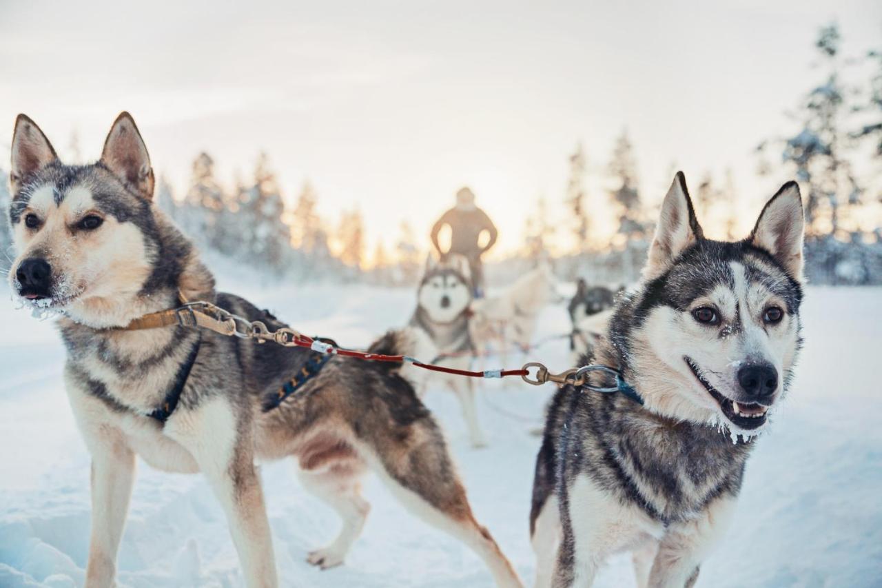 Kakslauttanen Arctic Resort - Igloos And Chalets Saariselka Esterno foto