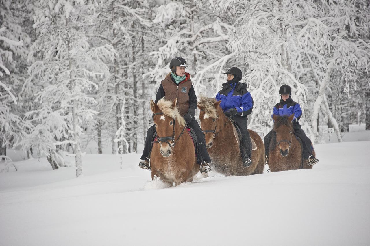 Kakslauttanen Arctic Resort - Igloos And Chalets Saariselka Esterno foto